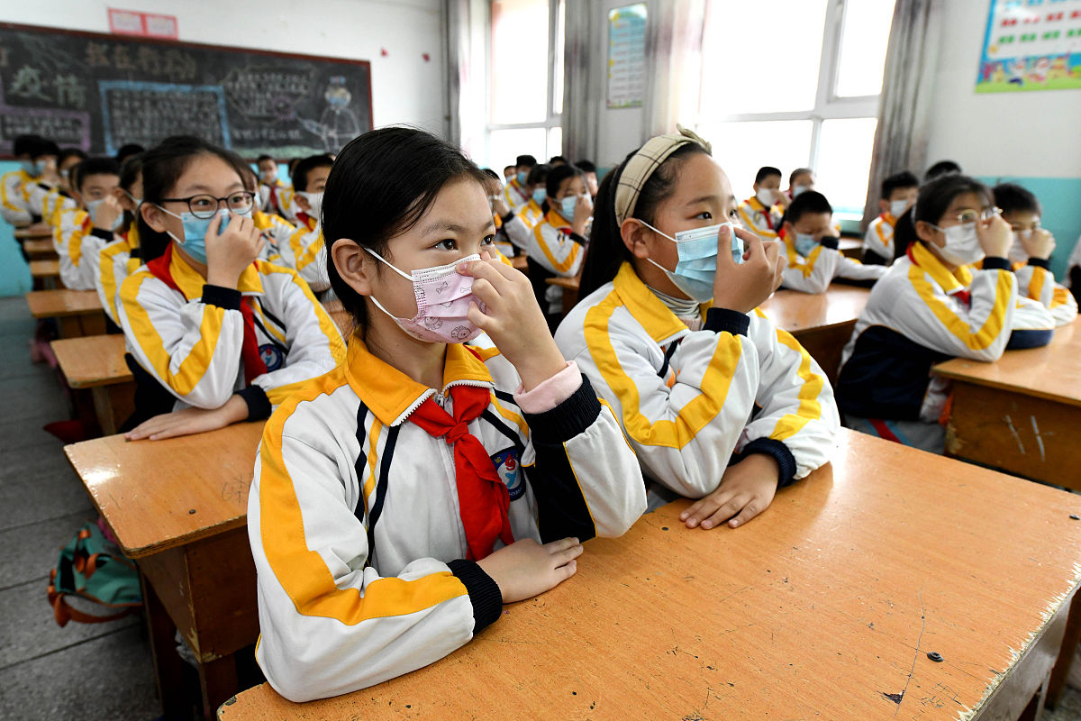 二十大学习感悟800字