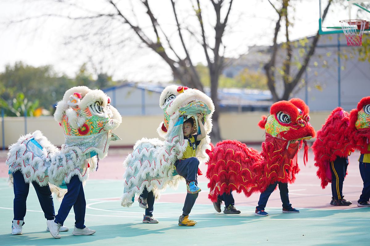 乐山市大佛文武学校2020年招生简章