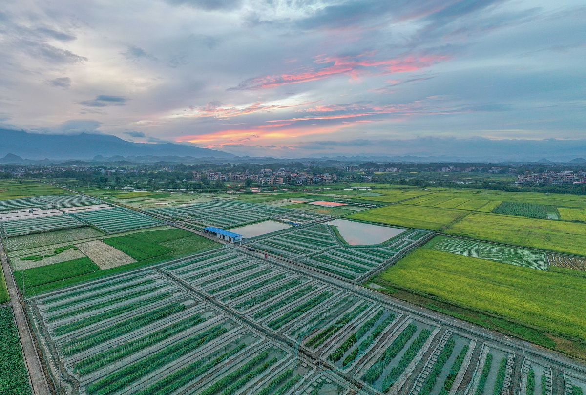 龙泉市农业标准地方案 - 提高农产品质量，促进农业现代化