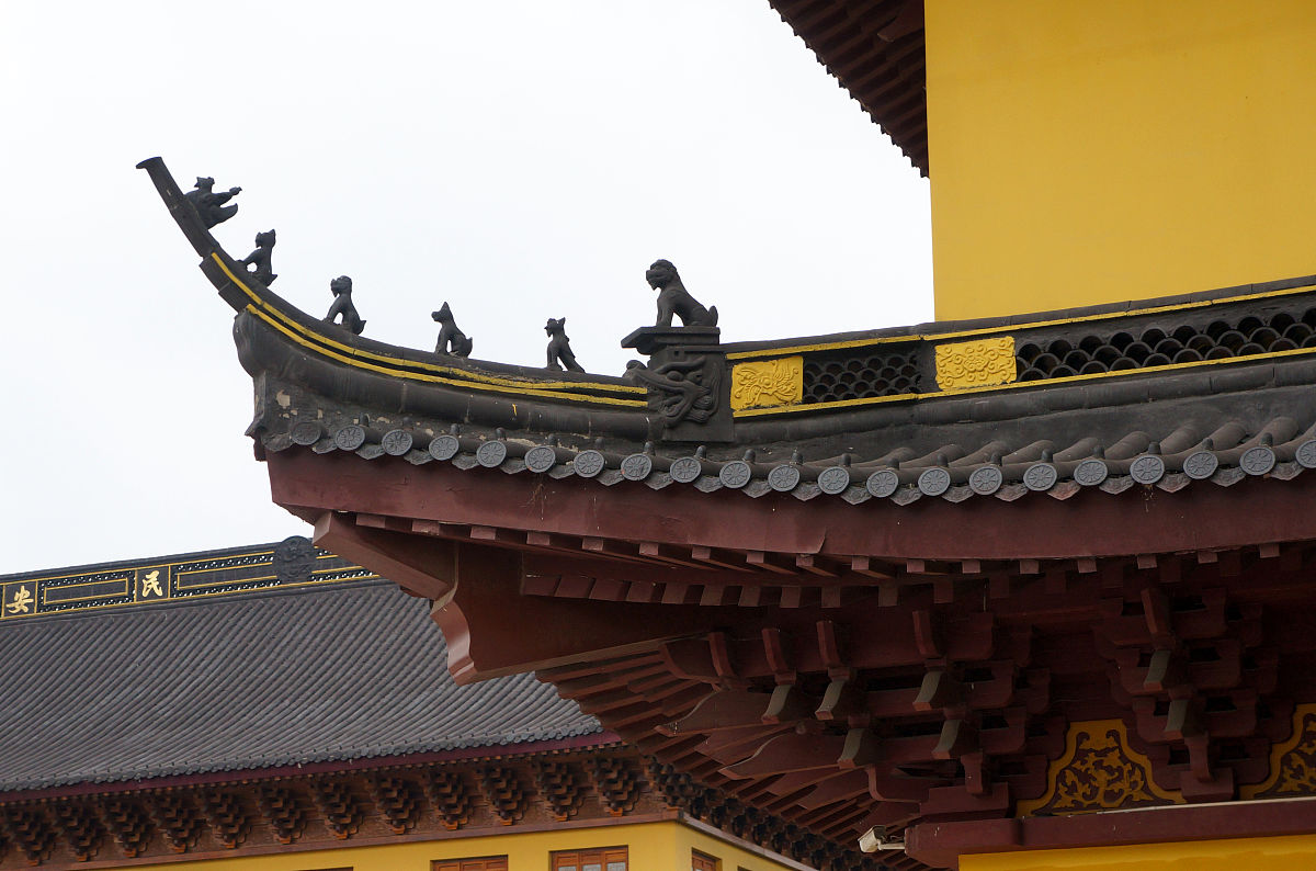 常州旅游商贸高职五年一贯制专业：最新消息及未来展望