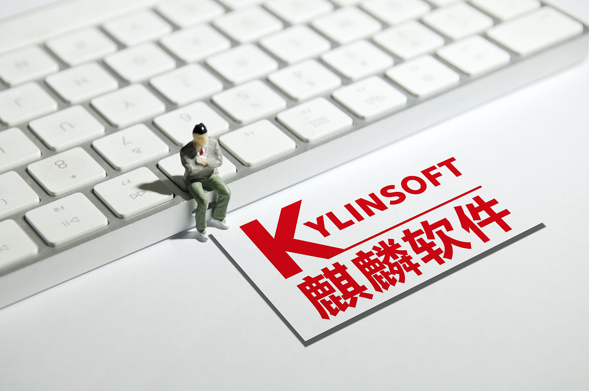 扩写下面的文字降低其重复率；如果内部审计员需要向企业IT或信息系统专家请教则可能降低工作效率并且在一定程度上依赖于专家的看法和意见这将有碍内部审计的独立性和客观性与内部审计的初衷相违背。