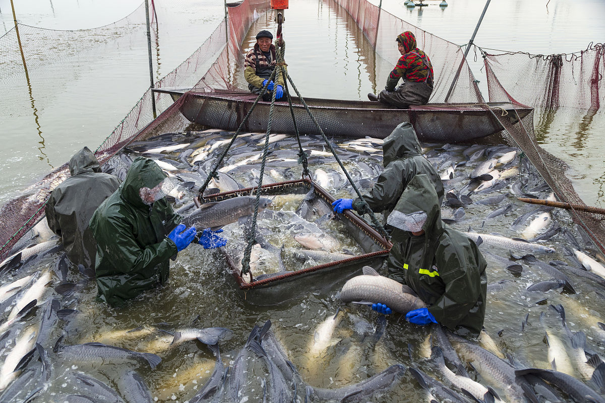 水产业是什么意思_词语水产业的意思