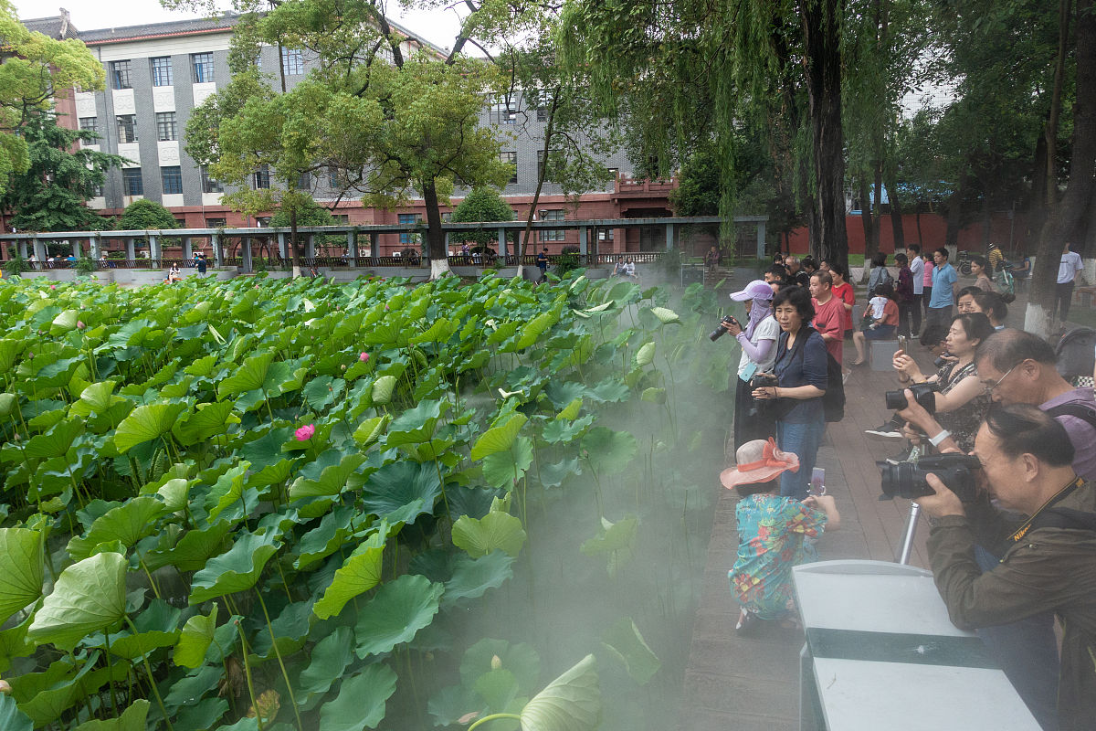 成都铁路运输管理专业哪个学校好？