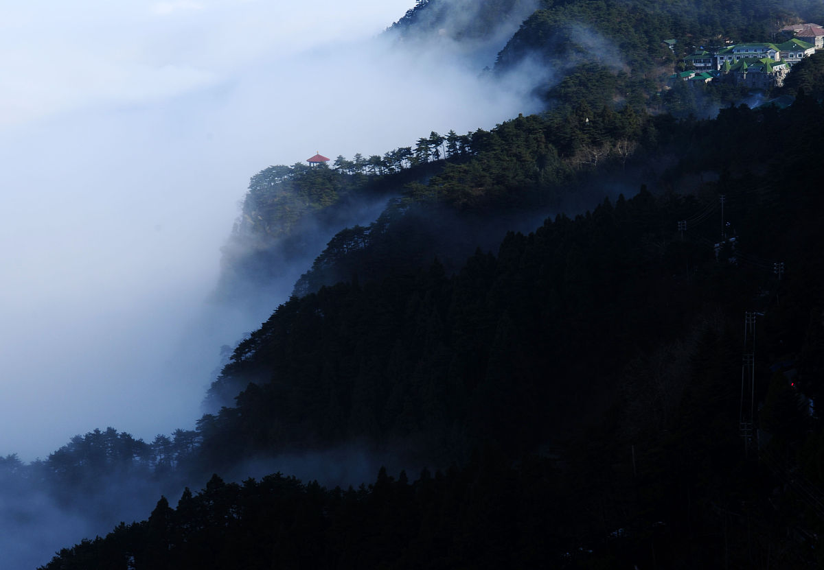 描写一段唯美的青茅山雨夜的景象