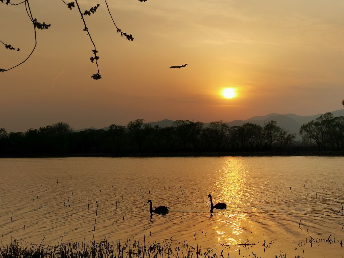 都市喧嚣中的宁静：孤鹭、落霞与心灵的共鸣