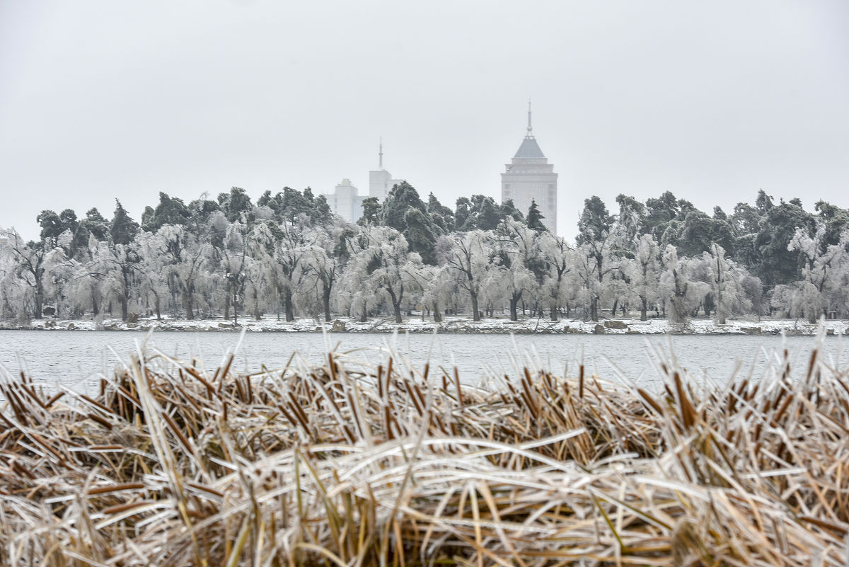 2020年11月20日,一场冻雨加大雪之后,长春整个城市变成水晶世界,南湖