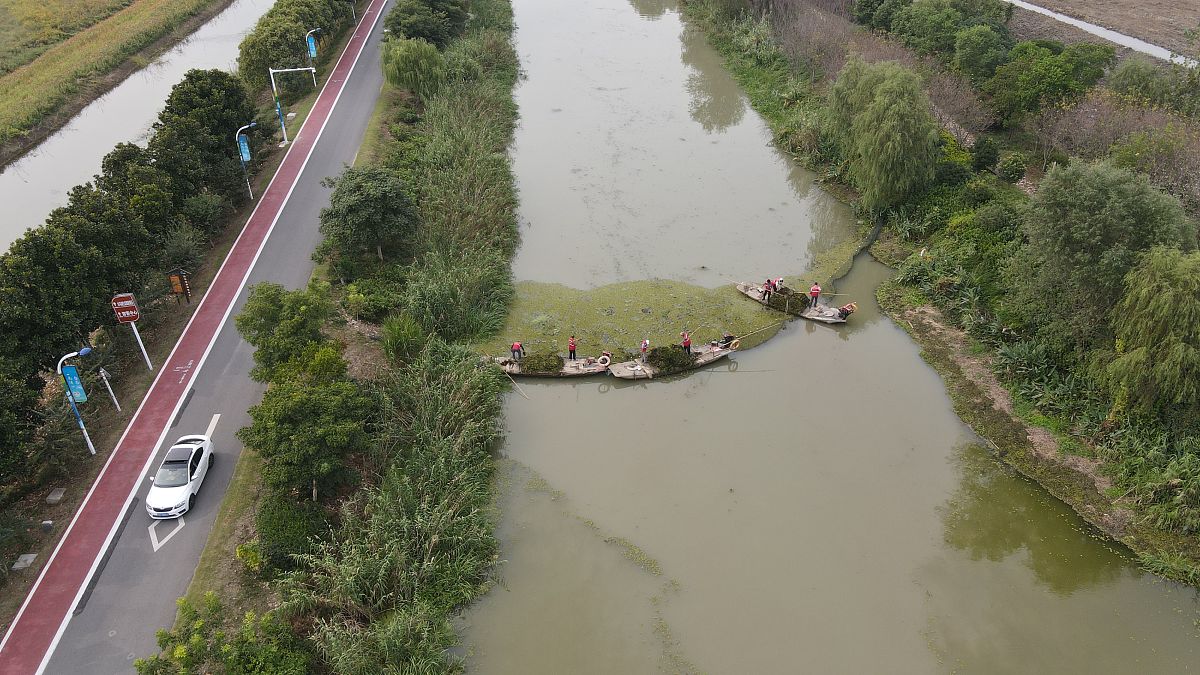 雷州青年运河现状及发展前景调查报告