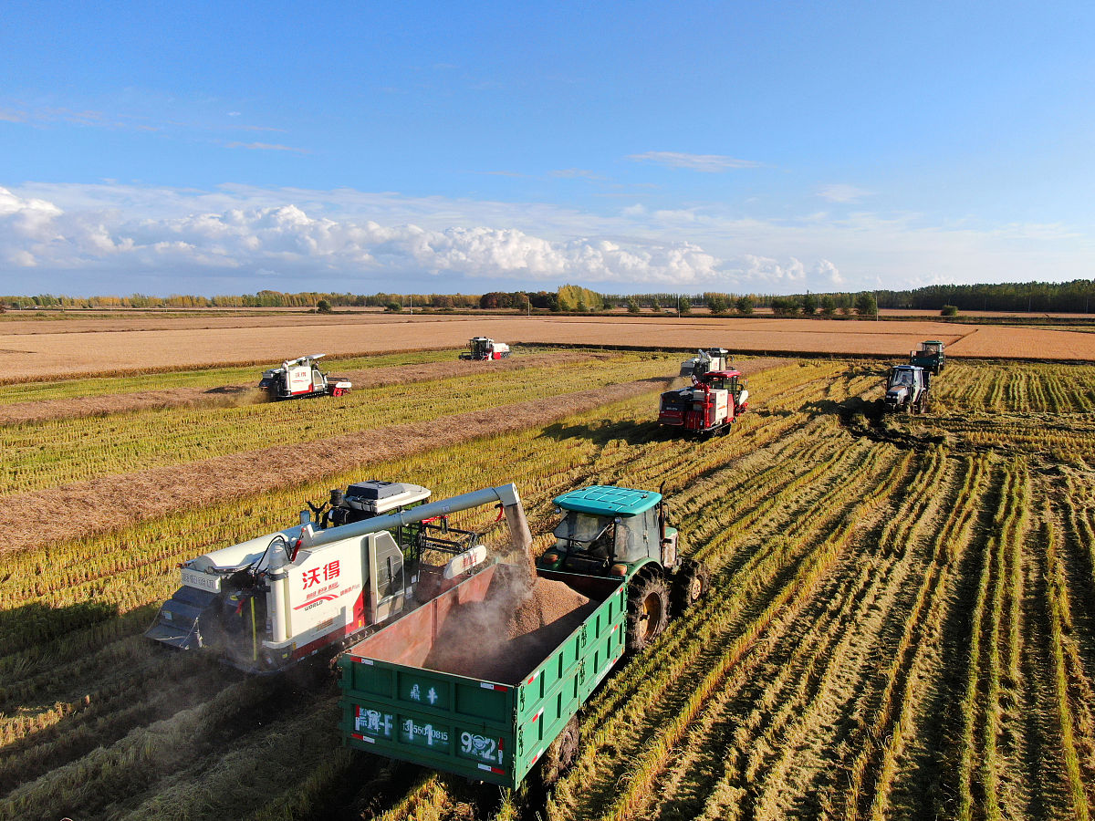 黑龙江农垦职业学院师范教育分院2022年招生电话及联系方式