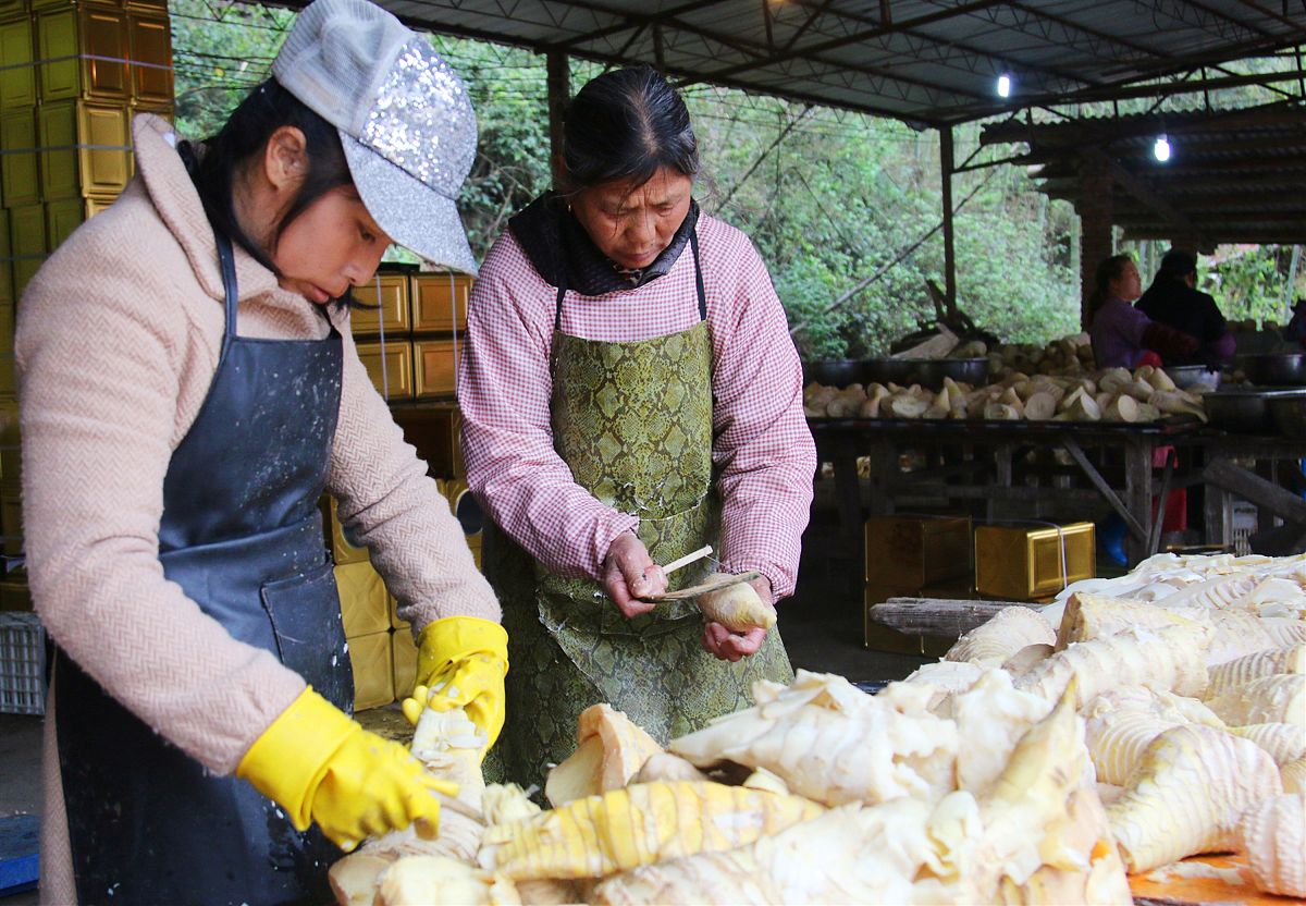 乡镇开加工厂好项目：致富商机与行业建议