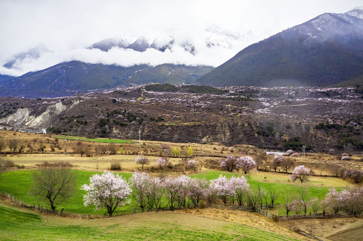 2021年4月1日,西藏林芝,波密县桃花沟风景.(如需下载请署名 曾文平/视