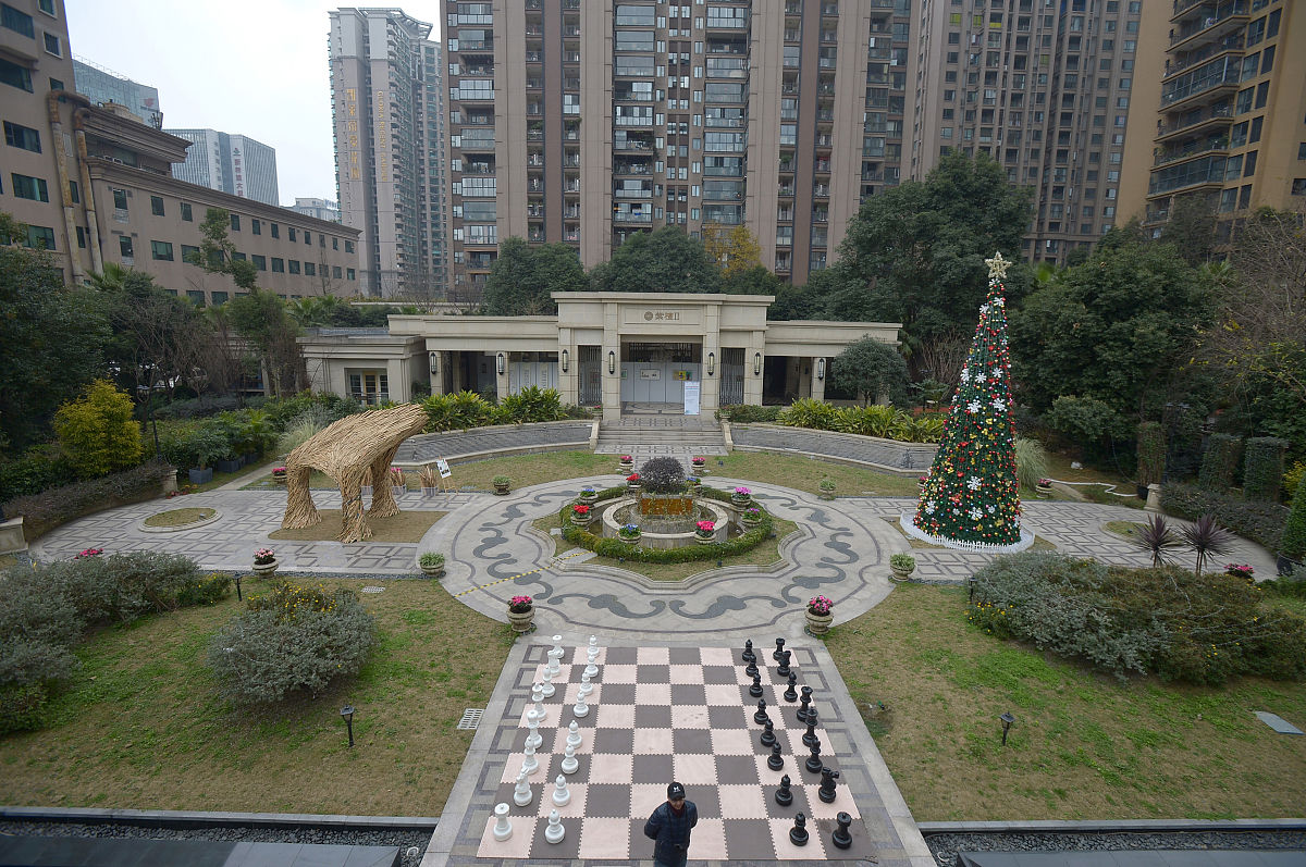 2019年1月10日,成都,桐梓林社区.(如下载使用,请务必署名红星新闻 王