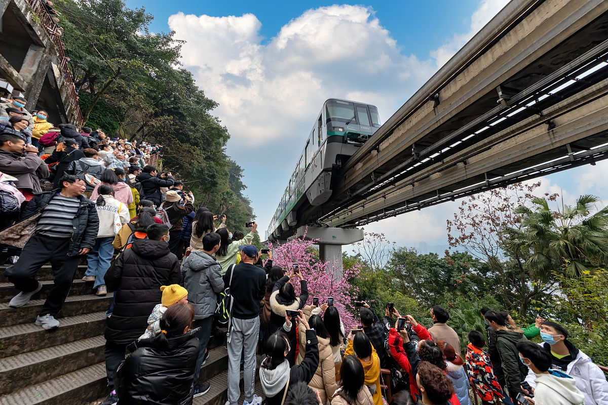 2020年重庆财政学校交通运输专业简介