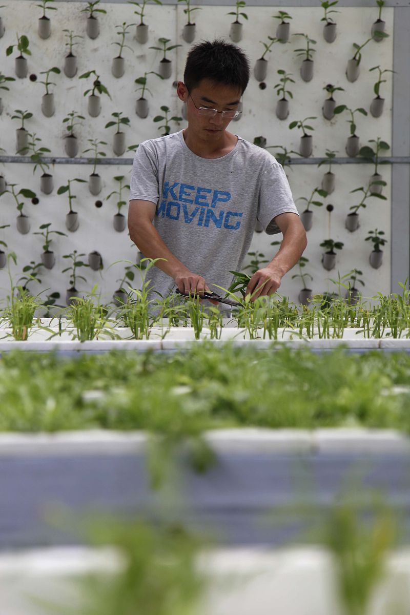 河南农业职业学院财务信息管理专业怎么样