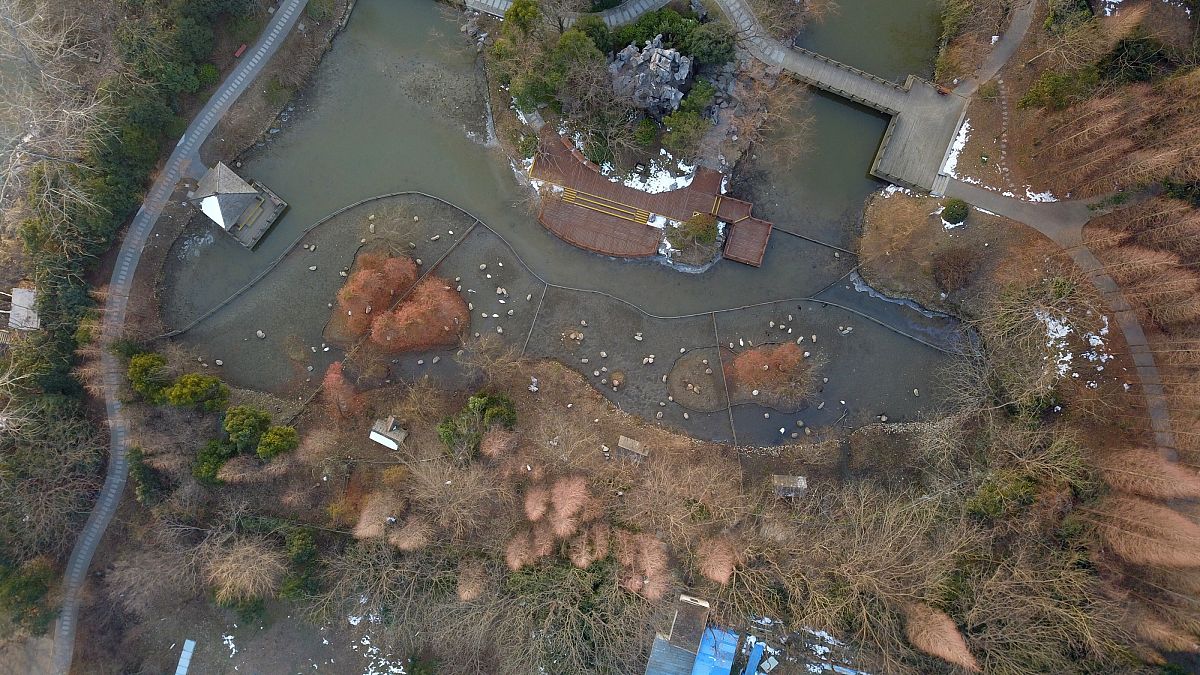 Unity 如何进入游戏场景界面？详细步骤指南