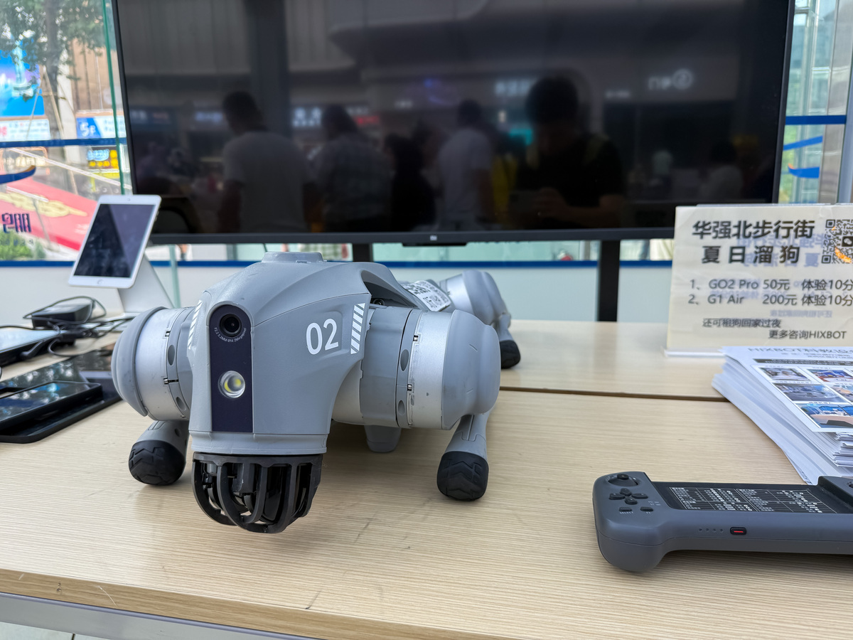 写一份无人机外卖机器人的学业作品主要内容