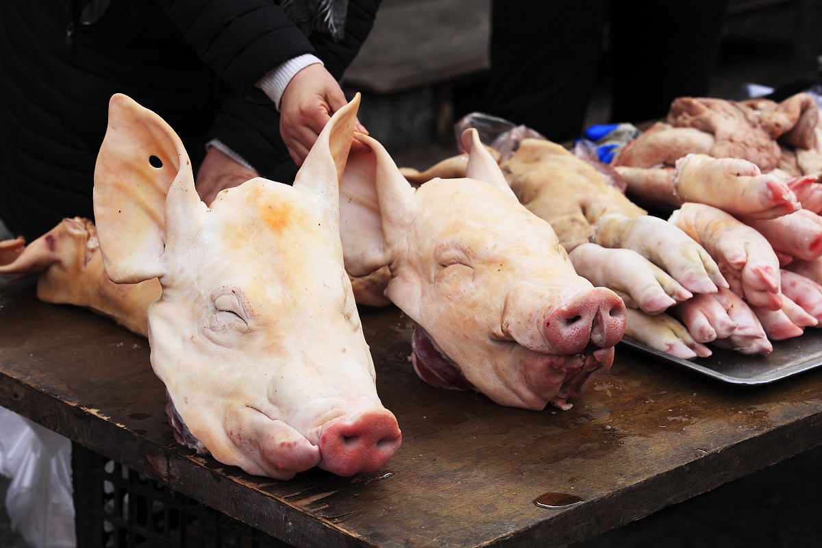 山东淄博博山电力技校2021年招生分数线是多少？