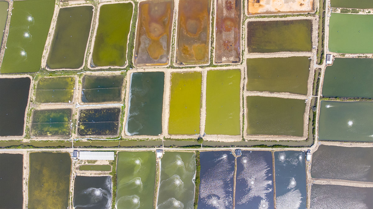 阳江第一职业高级中学招办联系电话