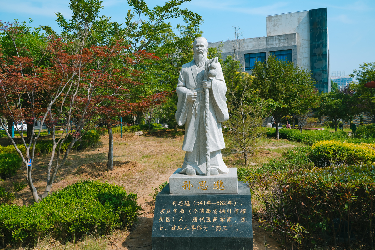 司马相如：汉代著名文学家、政治家