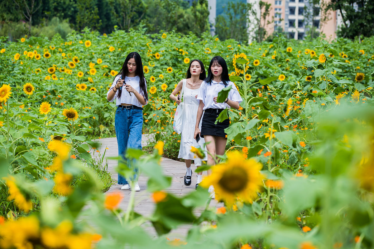 重庆虎溪职业中学2022年招生简章