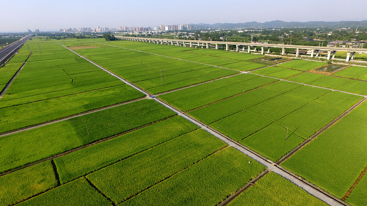眉山市信息工程学校地址在哪里 乘车路线