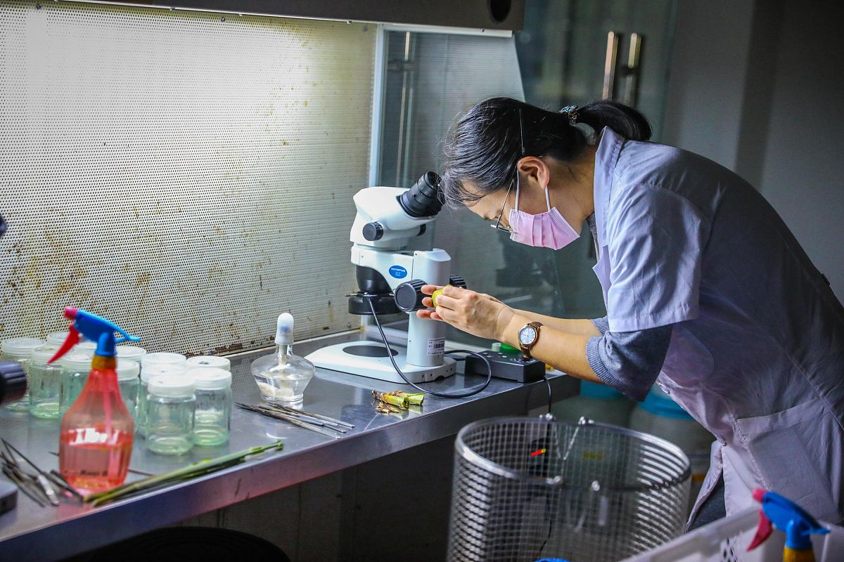 台江县中等职业学校现代农艺技术专业就业前景分析