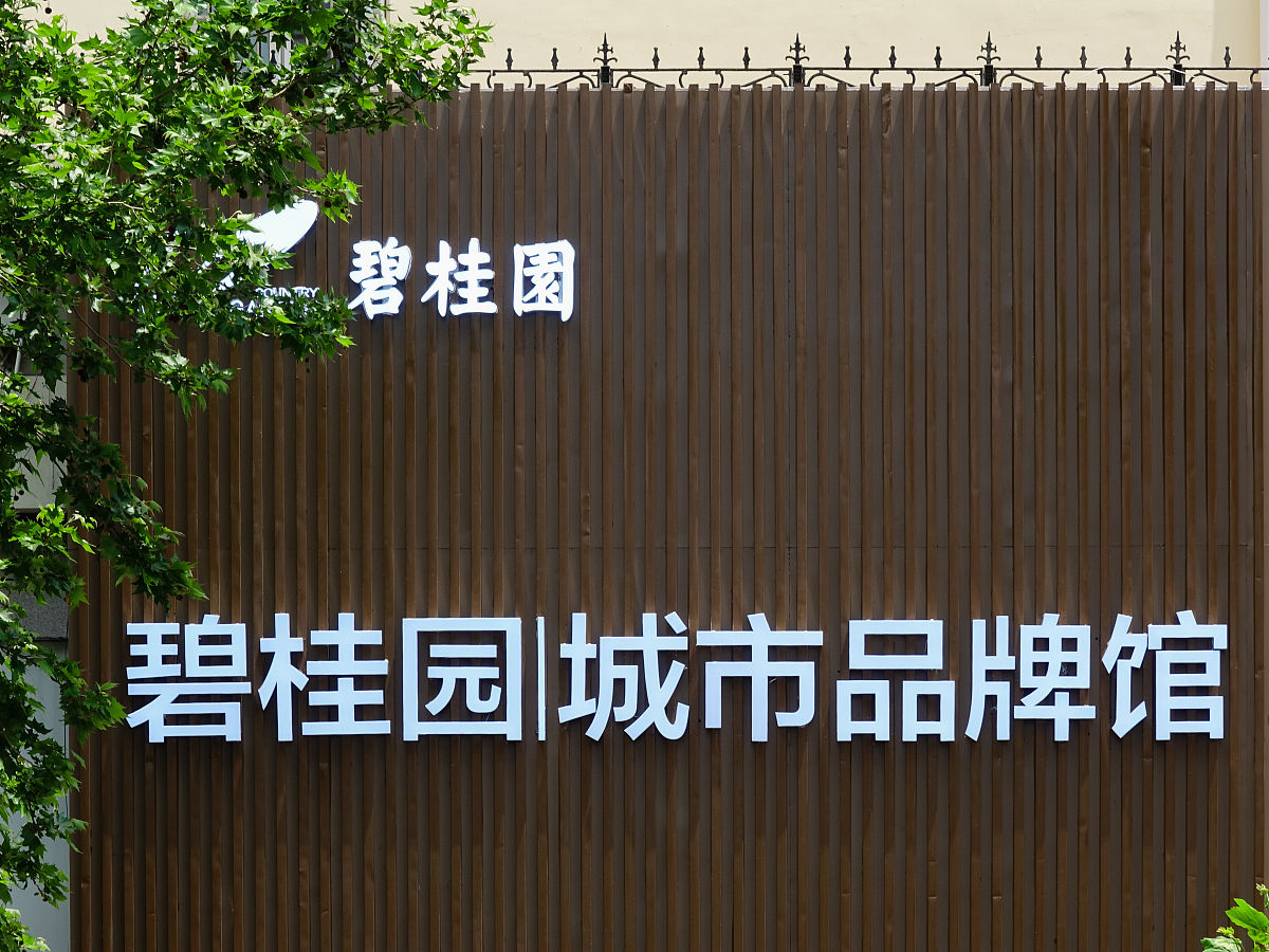 如何查询碧桂园房产在重庆市的发展状况