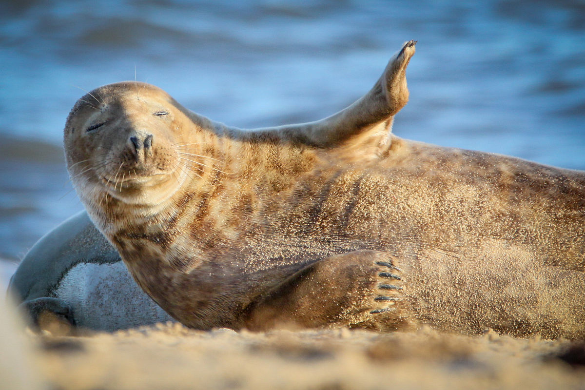 小鱼的日常：高中生聊天记录，一起看看运势！