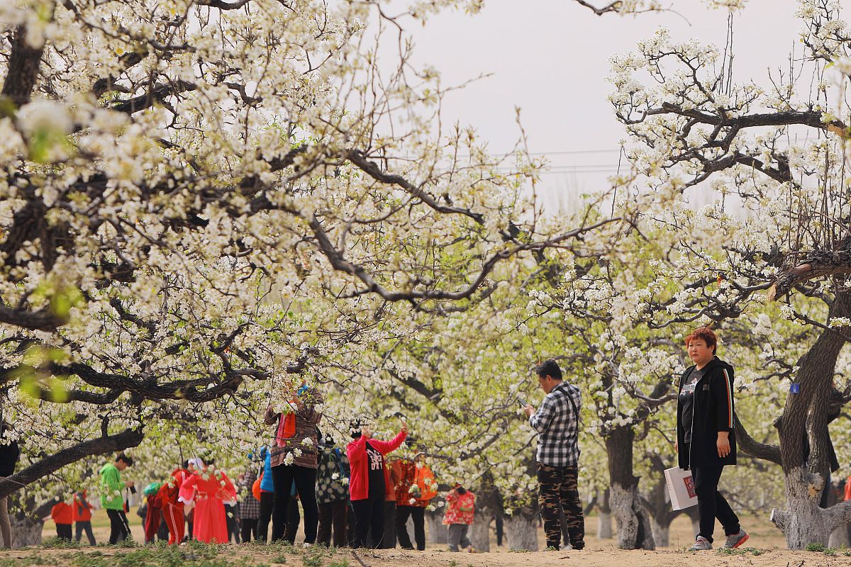 2020北京市大兴区第五职业高中招生简章