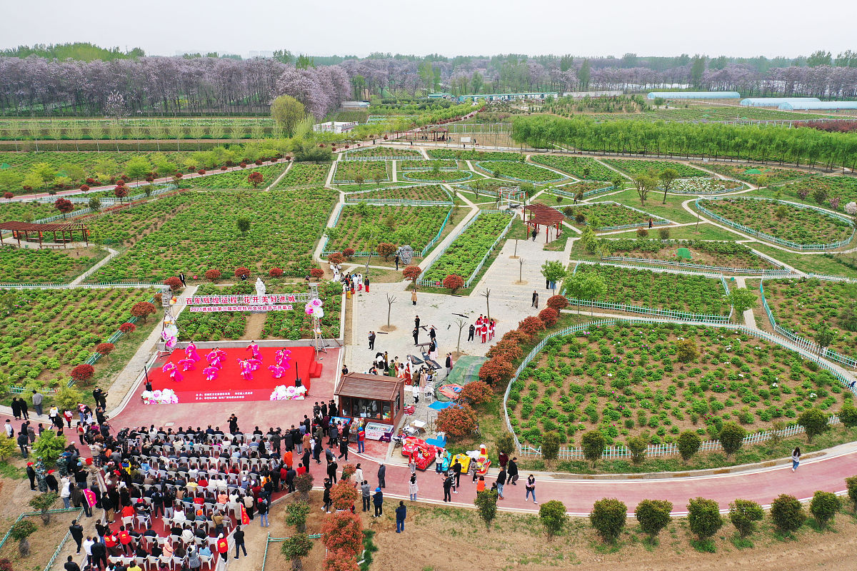 菏泽清菏园为什么以农业为主