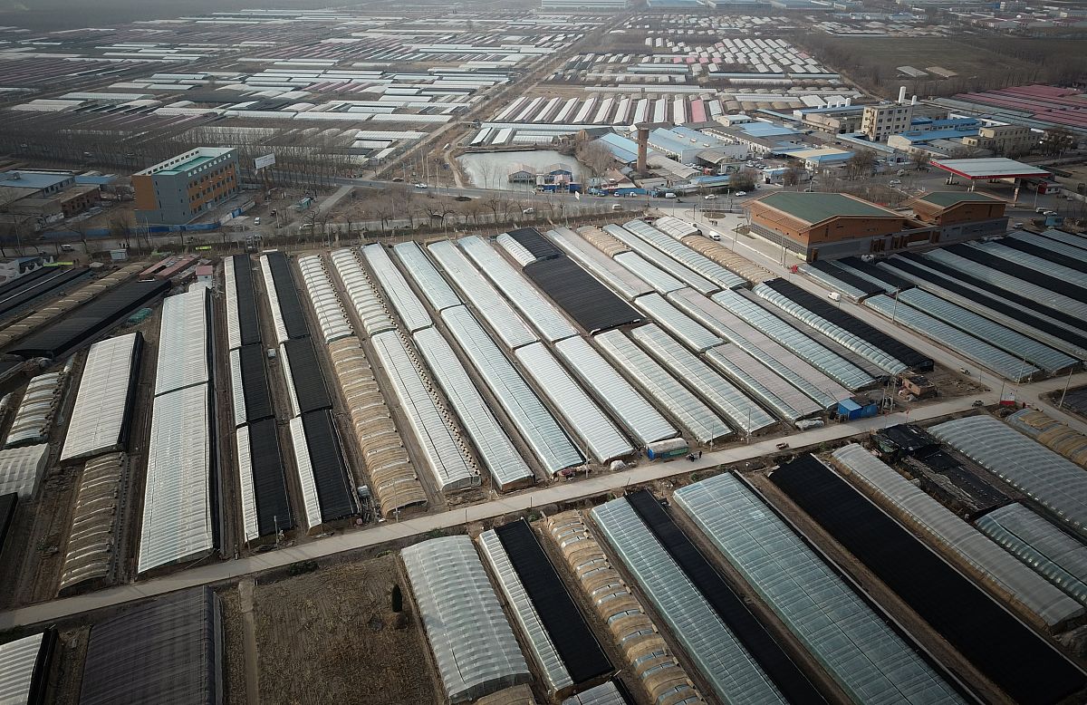 香兰阁®和颜舒容洁面露在哪里买？