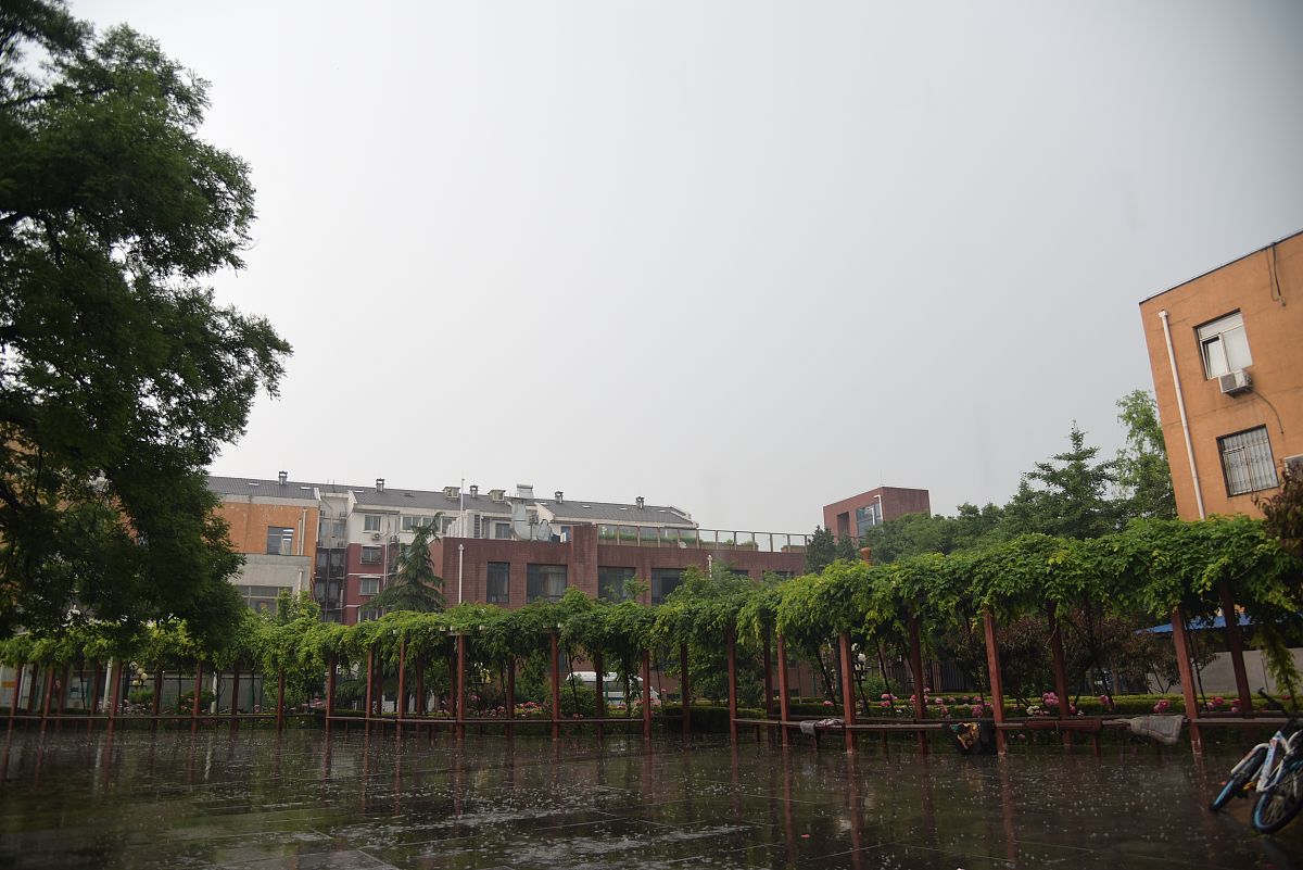 广东轻工职业技术学院园林工程技术专业优势与发展前景