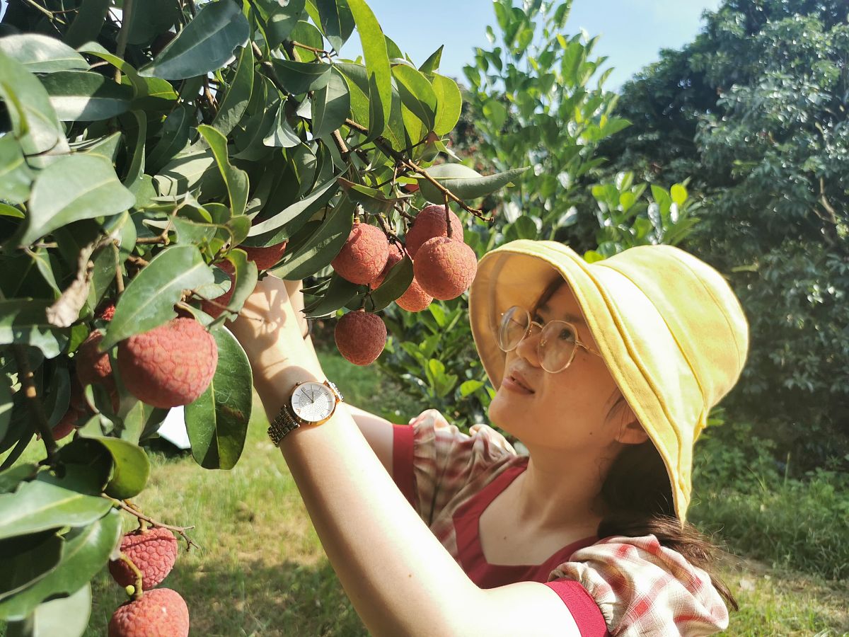 果乐芬注射笔价格多少钱一支？附查询方法