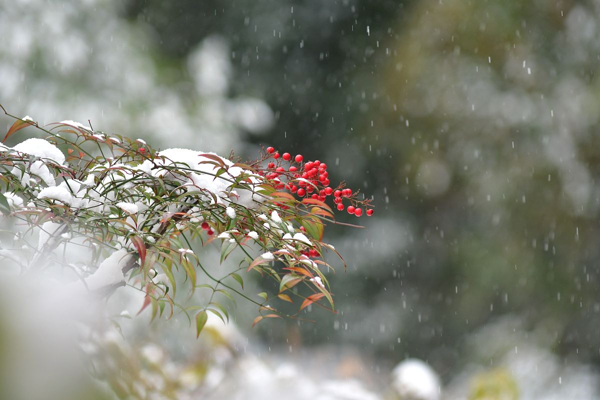 娄底卫校录取分数线是多少？招生简章公布！