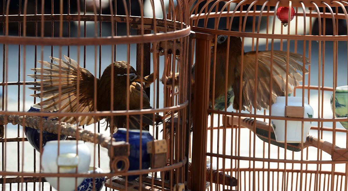 紫云民族职业技术中学的乘车路线