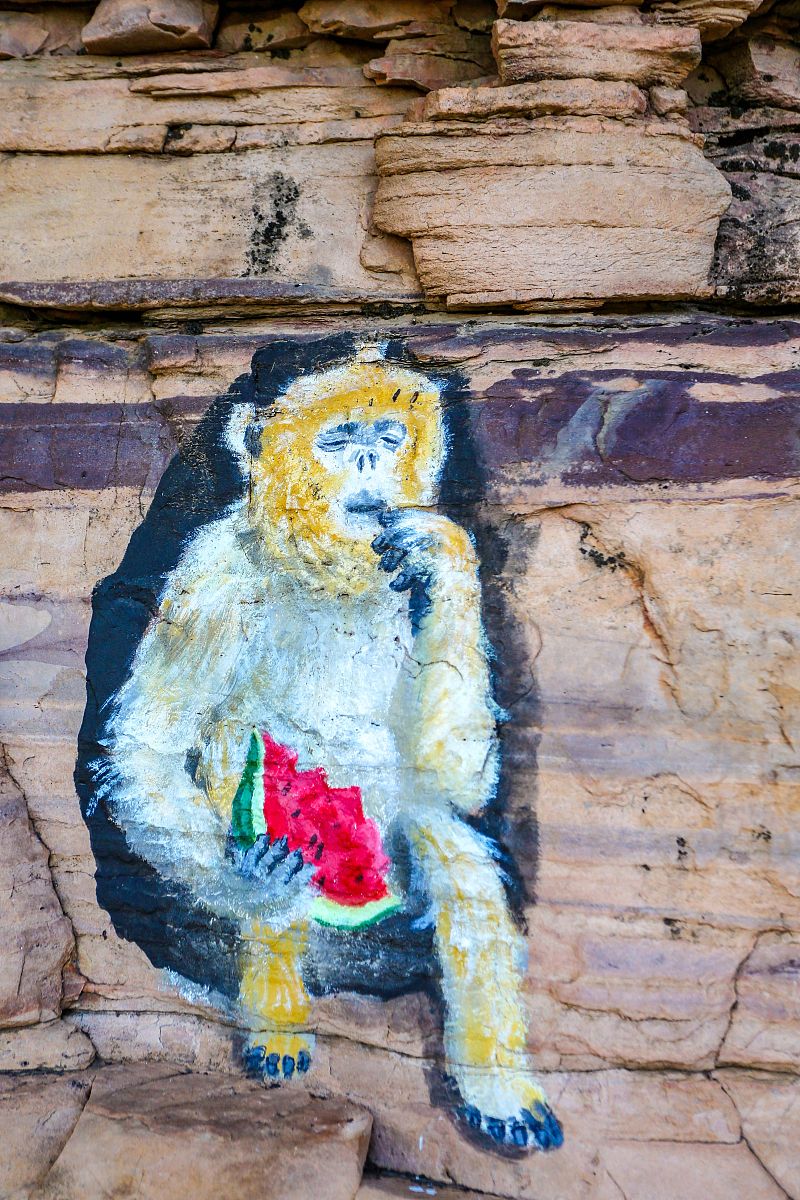 武安市职教中心2021年招生简章 | 报名时间、专业、条件等