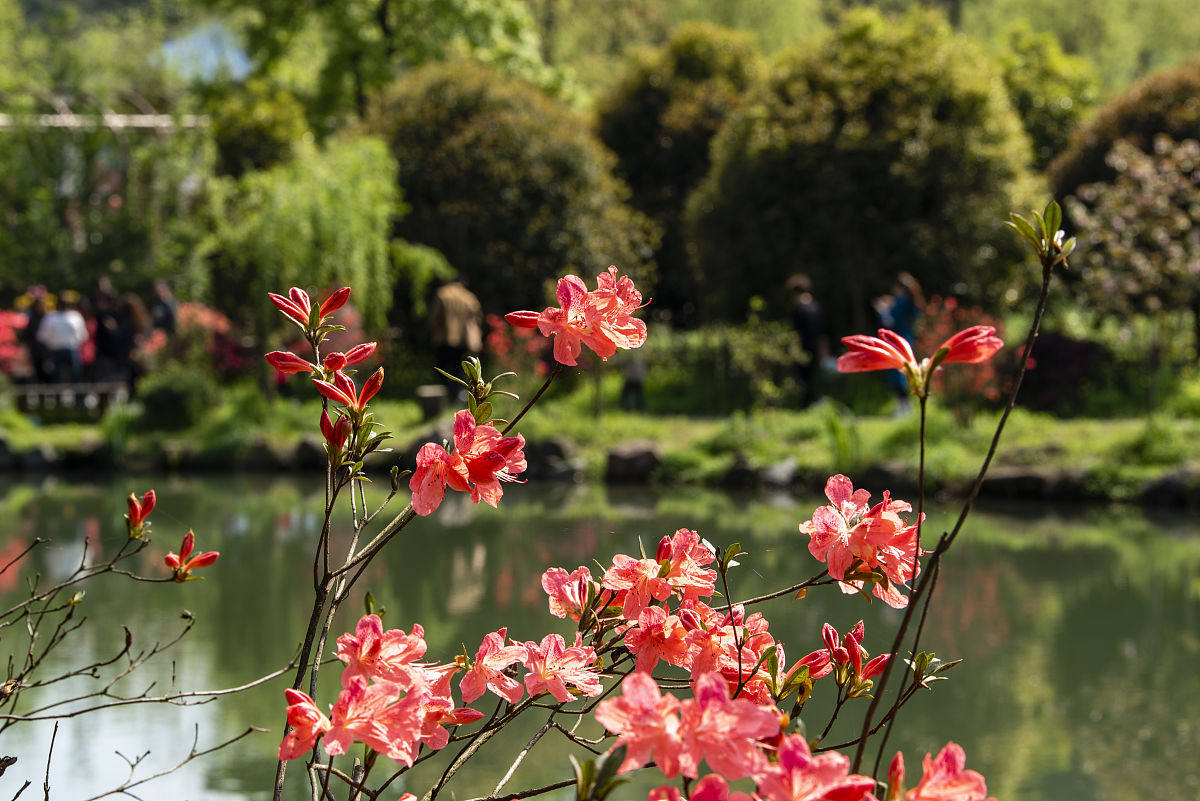 宣城理工学校2023年招生人数是多少-怎么样