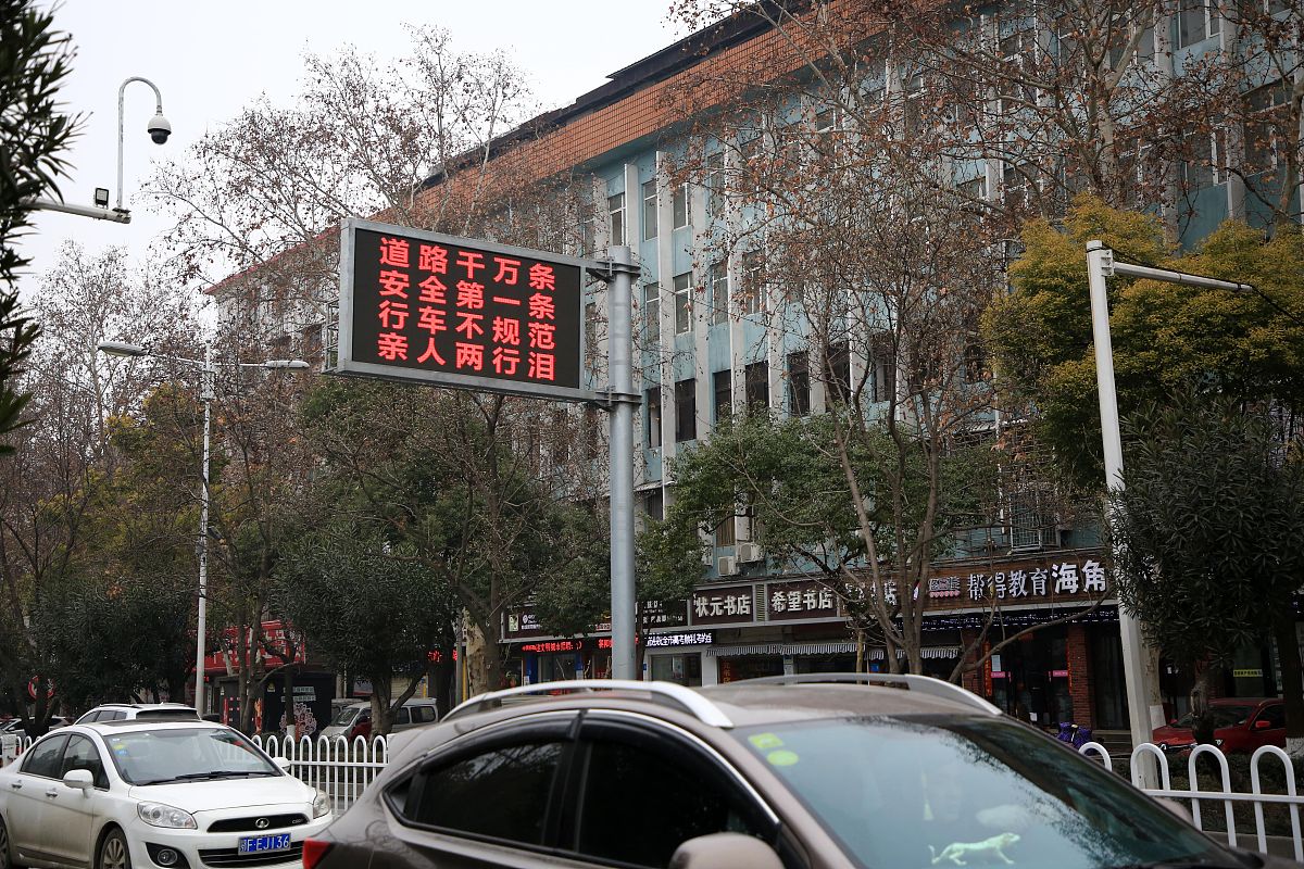 流浪地球观后感：人类求生、科技力量与情感的交响曲