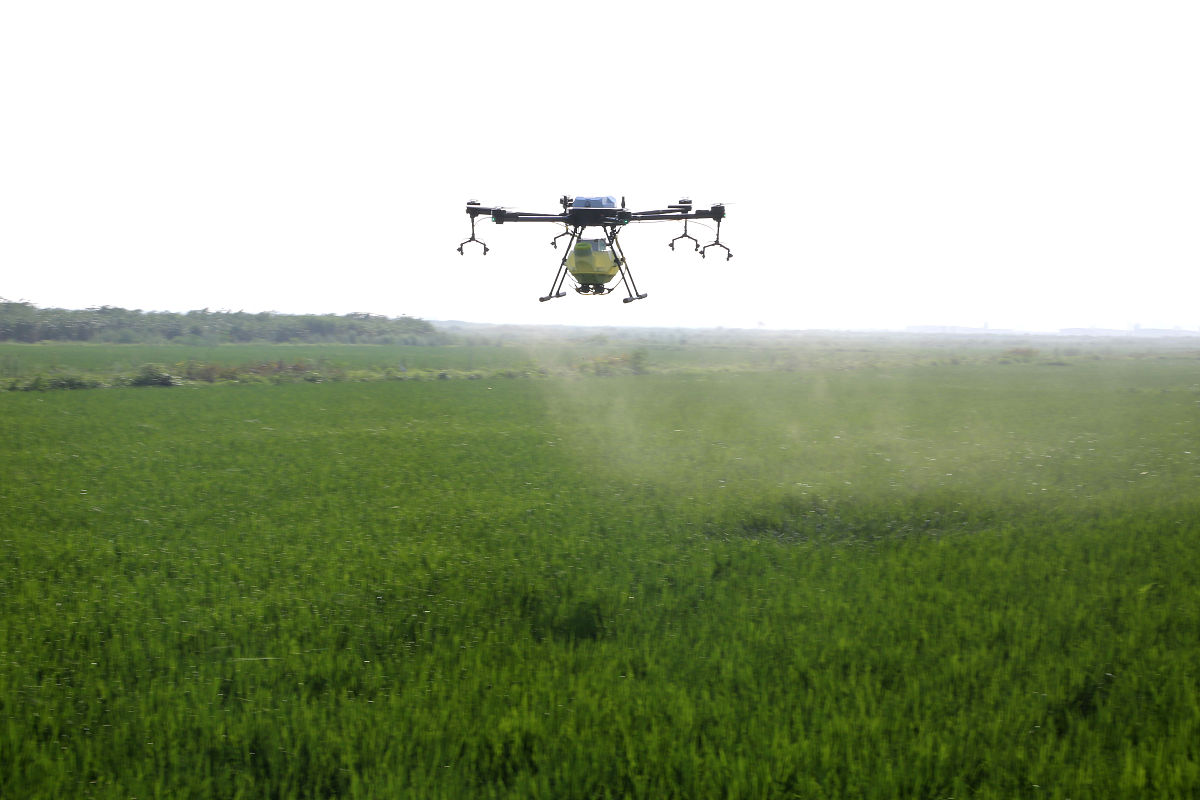 无人机病虫害图像识别检测：优势与不足