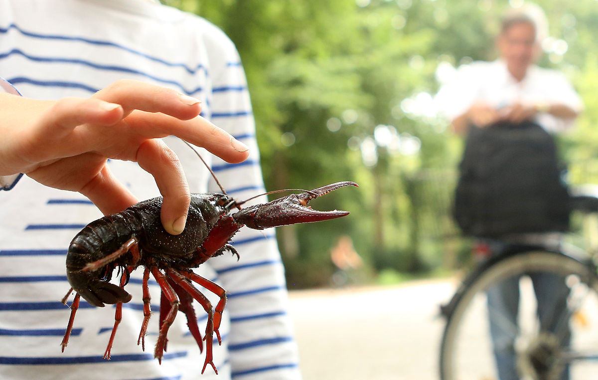 广西初中开学时间公布！8月24日正式开学！