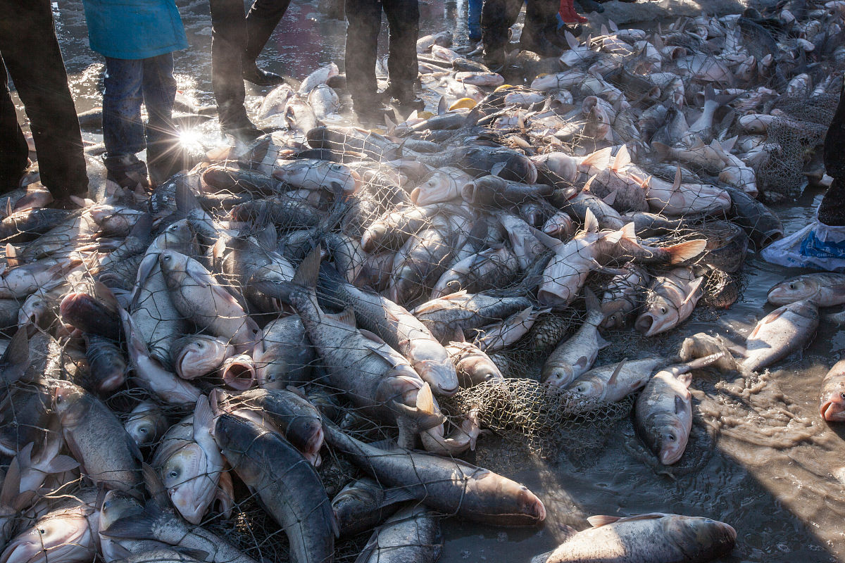 吉林松原媒体曝光热线电话及重要性解读