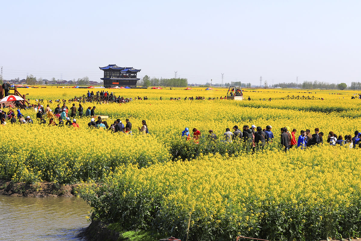 成都郫县五月花2021年联系电话