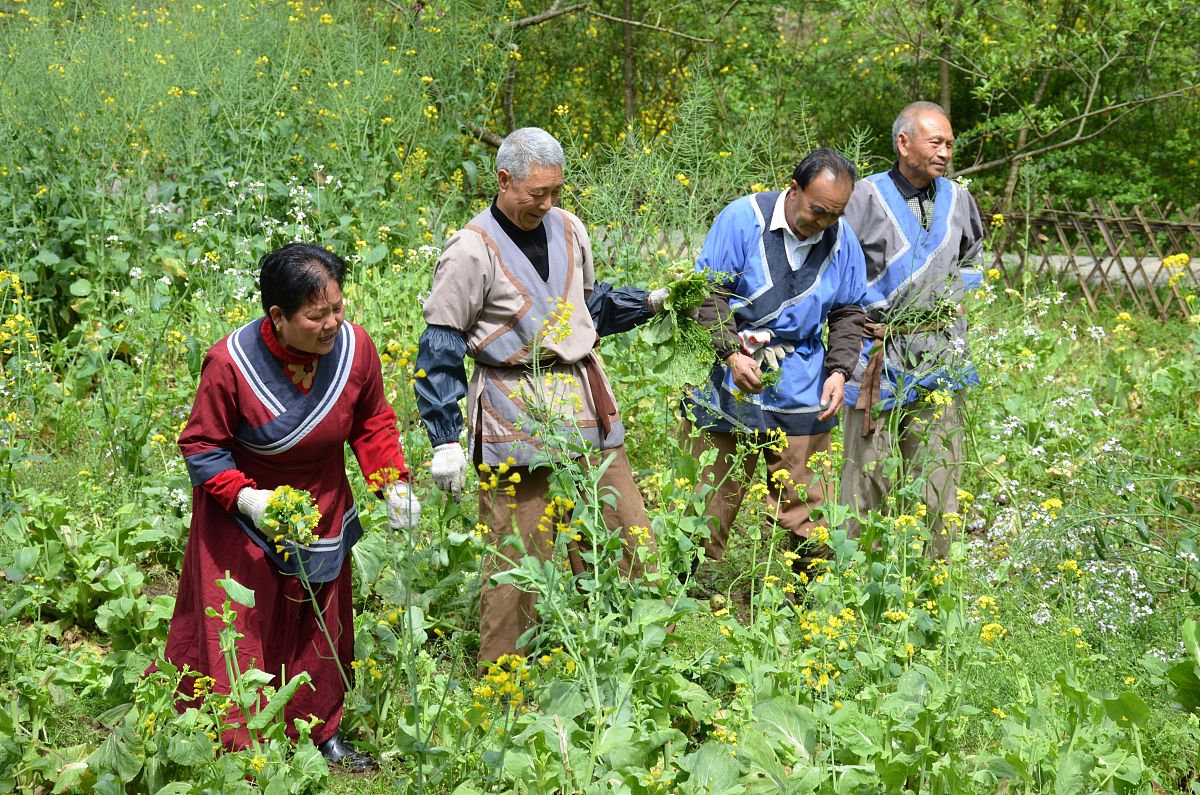 边疆村民的绿色奇迹：高山蔬菜种植记