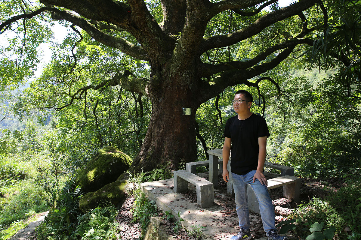 小营股份经济合作社