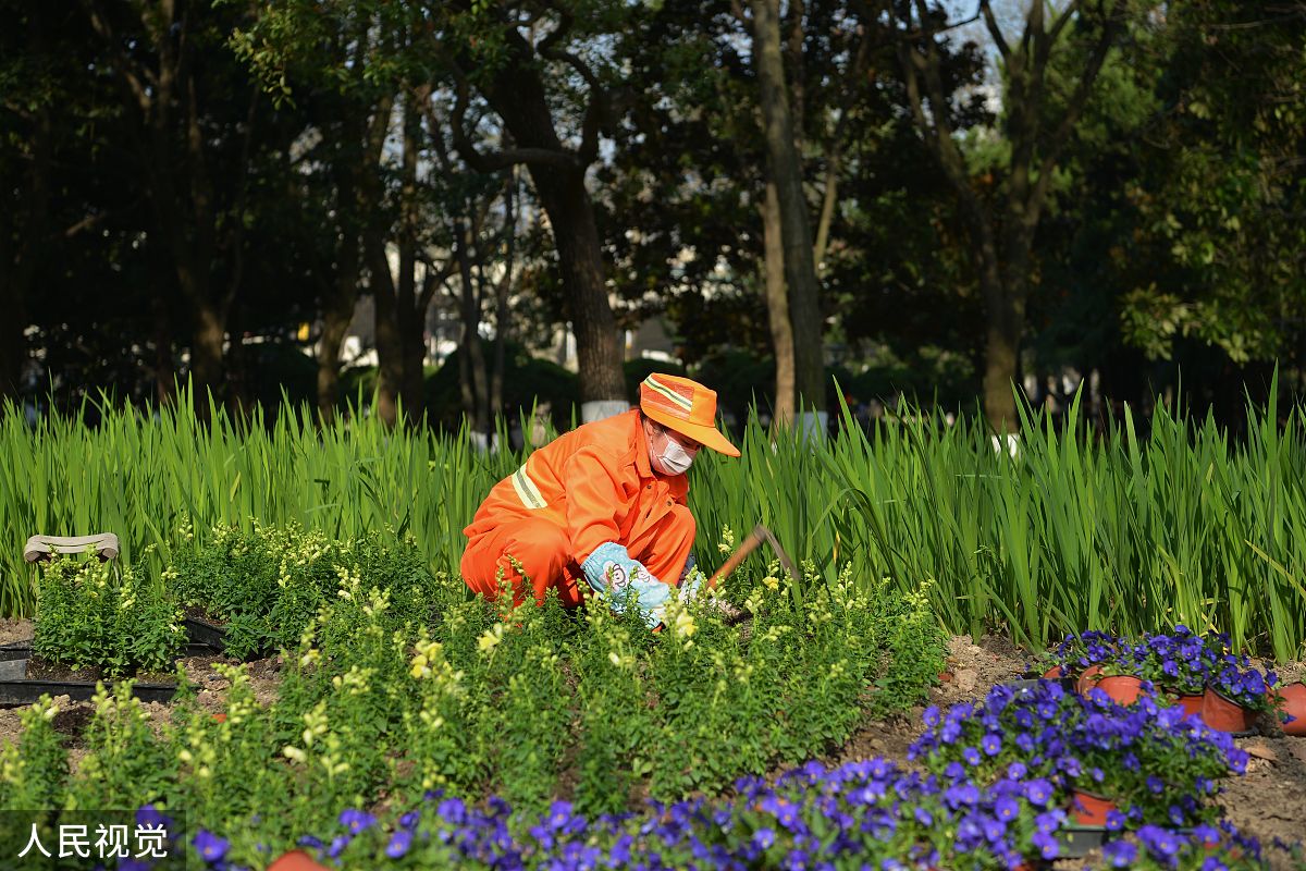 绿化养护售后服务承诺：一年免费服务，保障项目持续健康