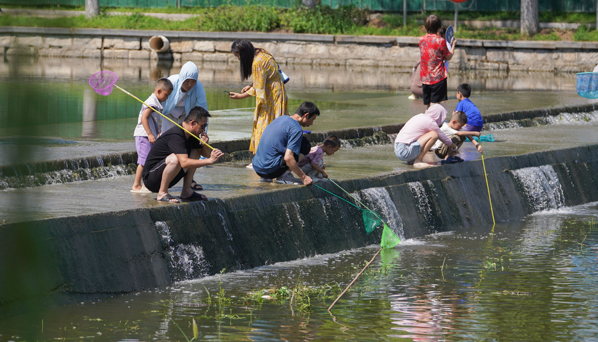 出一个古法养鱼的保姆级教程。 出一个古法养鱼的保姆级教程。