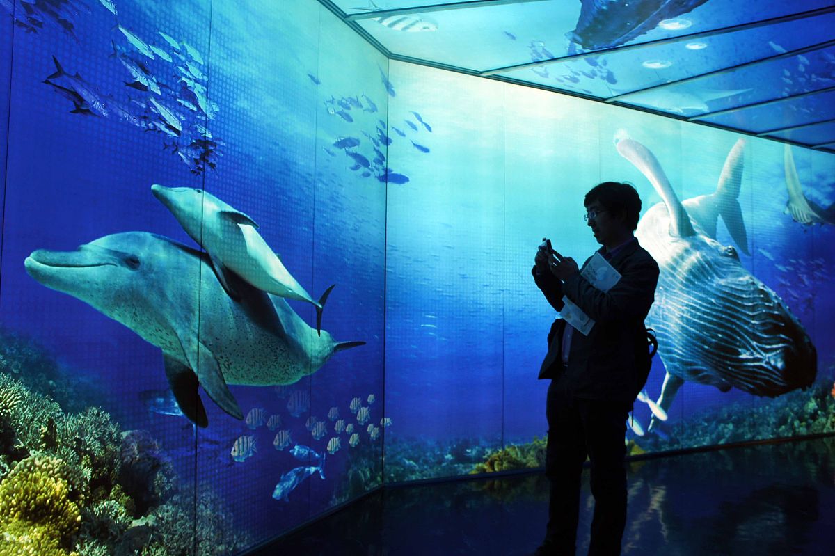 数字影像技术核心课程：全面掌握数字影像技术基础知识和技能