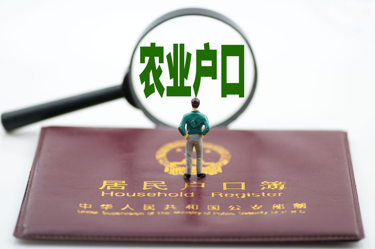 请举例10个把农村户口转到深圳户口的理由要求2000字