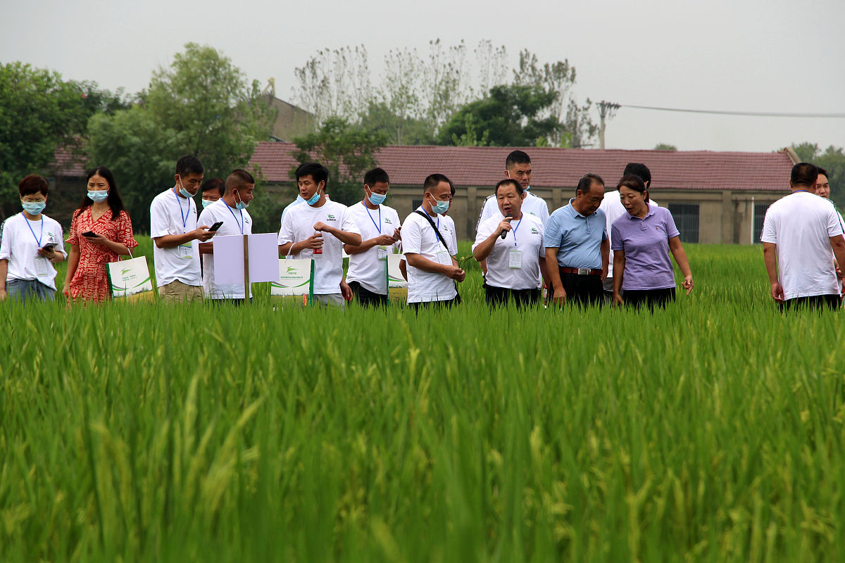 大沟村大学生村官培养机制成功案例:助力乡村振兴 大沟村大学生村官培养机制成功案例:助力乡村振兴