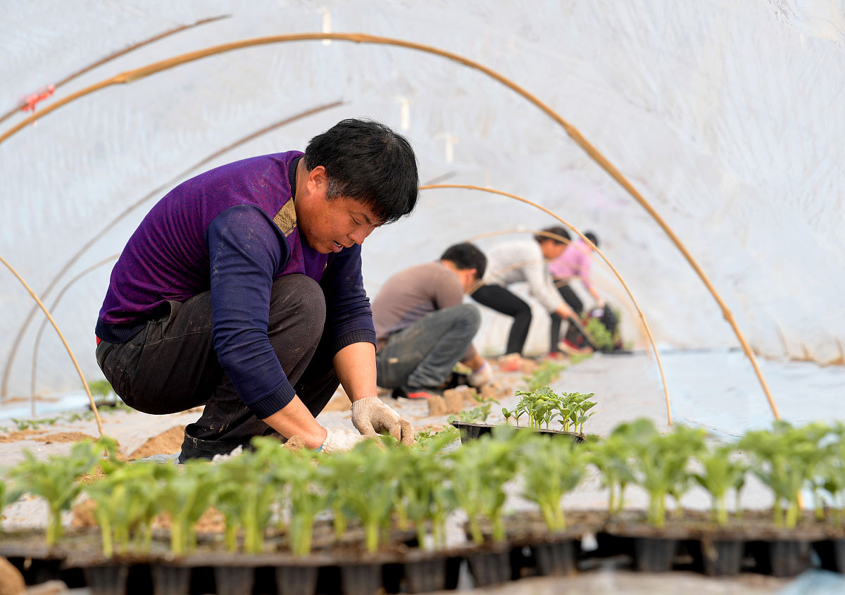 商丘职业学院生物技术及应用专业如何