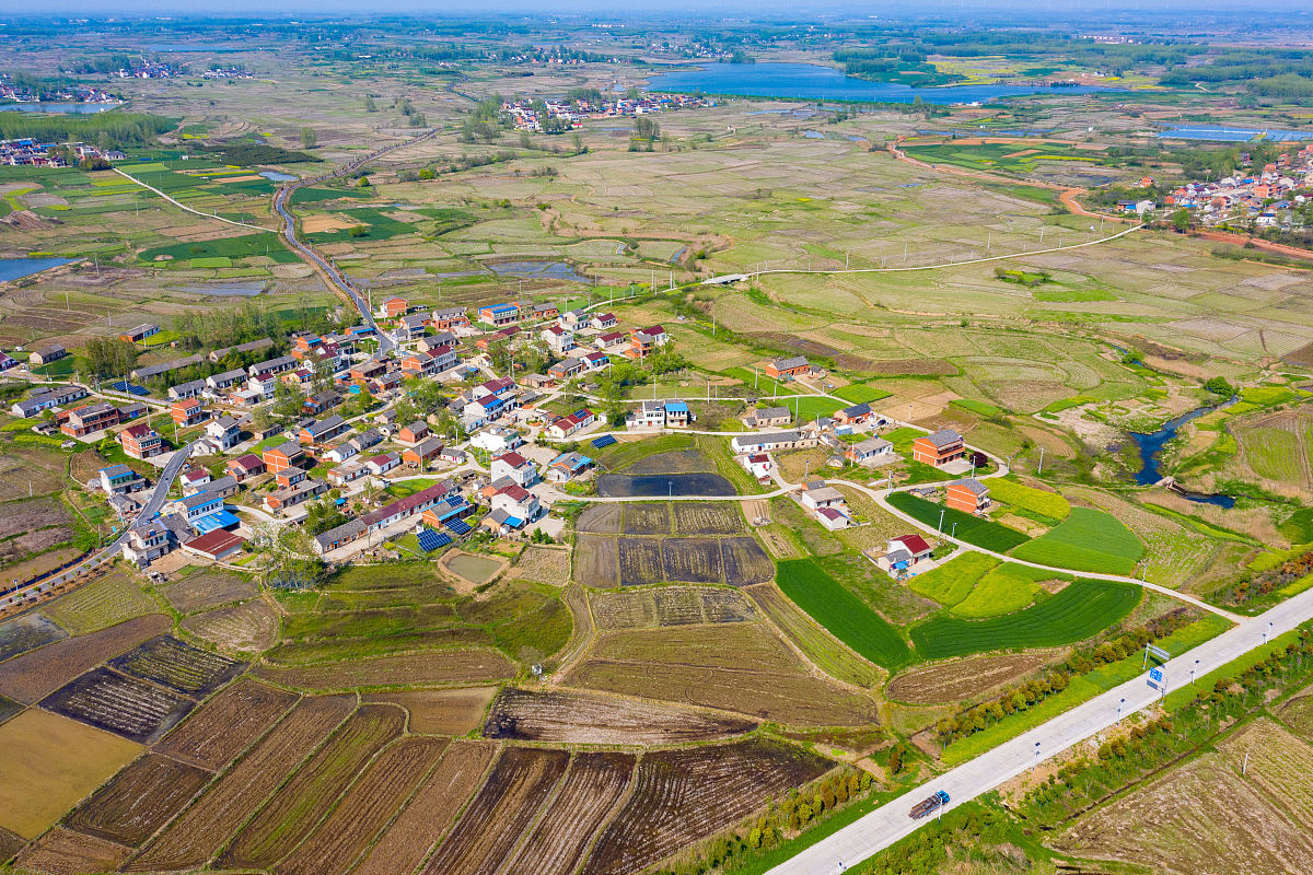 兀术街村选准投资方向盘活固定资产增加村集体收入